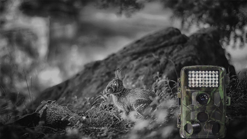 Wild Hunting Trail Camera Outdoor Wildlife Camera