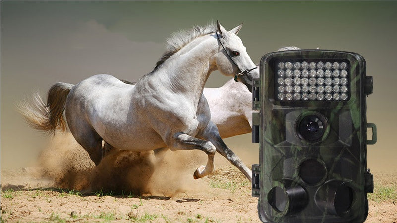 Wild Hunting Trail Camera Outdoor Wildlife Camera